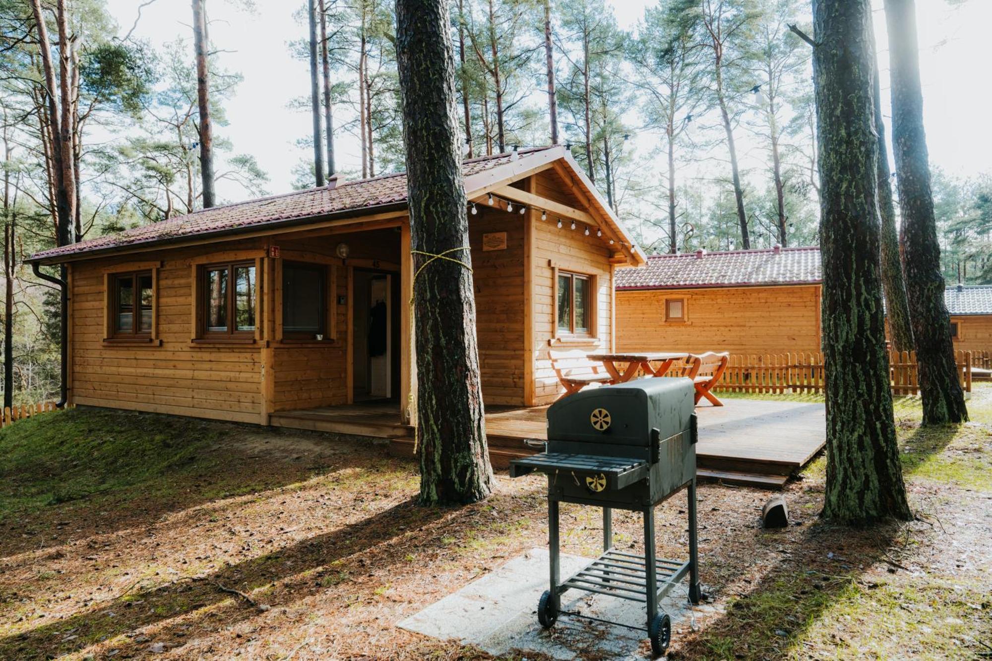 Wypoczywanko 43, 45 Apartment Borsk